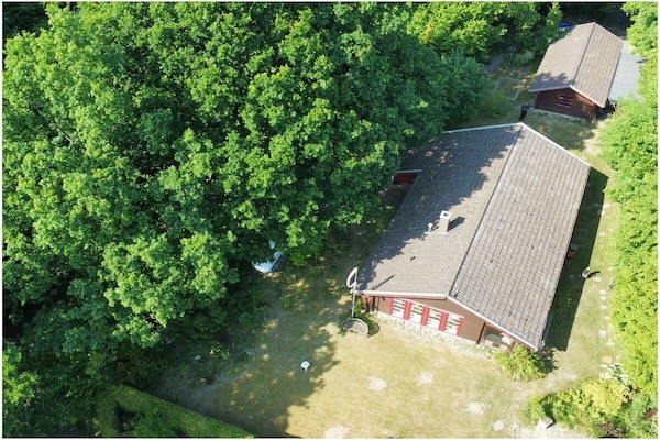 Foto van Bos en strand || Altenhof - Vakantiehuis in Altenhof - Untagged