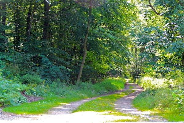 Foto van Bosbouwhuis Felsenrade - Vakantiehuis in Groß Wittensee - Untagged