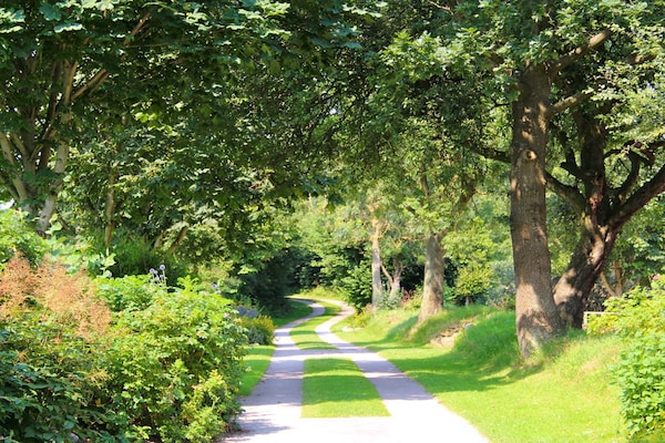Foto van Bosbouwhuis Felsenrade - Vakantiehuis in Groß Wittensee - Untagged