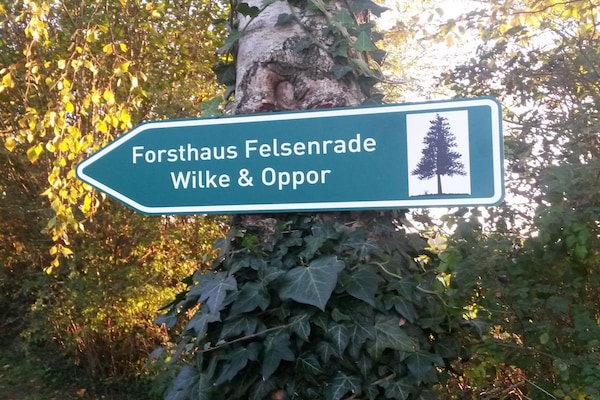 Foto van Bosbouwhuis Felsenrade - Vakantiehuis in Groß Wittensee - Untagged