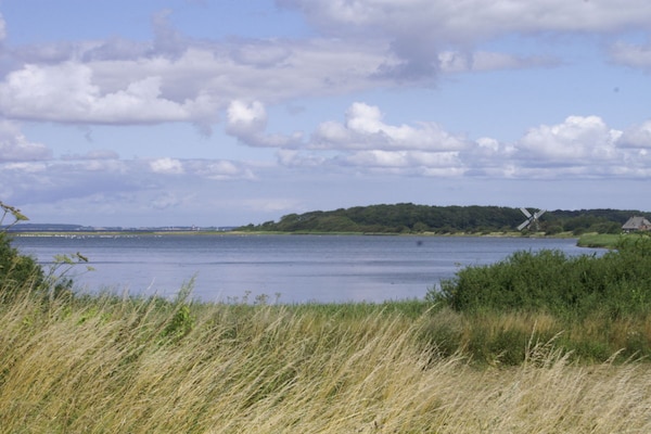 Foto van Bungalow in Niesgrau met zwembad - Vakantiehuis in Niesgrau - Untagged