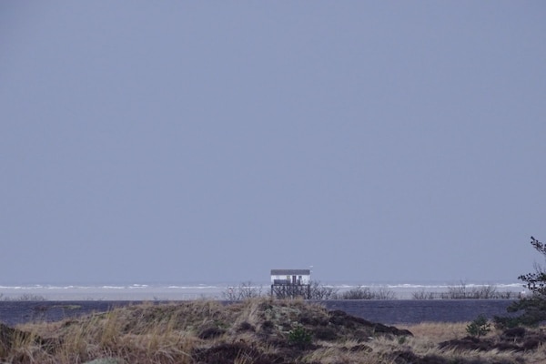 Foto van Bio-appartement Zwarte Den - Vakantiehuis in St. Peter-Ording - Untagged