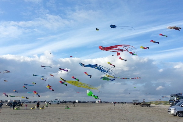 Foto van Biologisch appartement Silvergrass - Vakantiehuis in St. Peter-Ording - Untagged