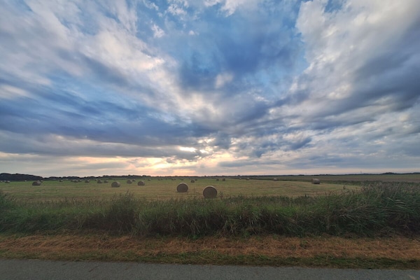 Foto van Biologisch appartement Silvergrass - Vakantiehuis in St. Peter-Ording - Untagged