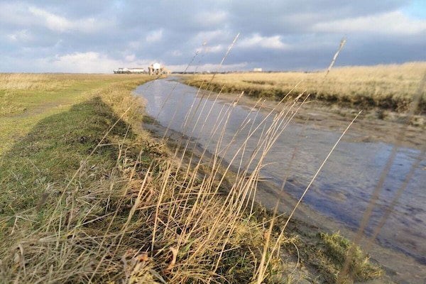 Foto van Biologisch appartement Silvergrass - Vakantiehuis in St. Peter-Ording - Untagged