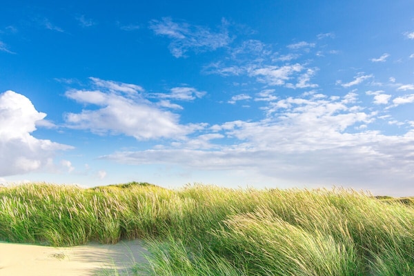 Foto van Besteld Diek nr. 4 - Vakantiehuis in St. Peter-Ording - Untagged