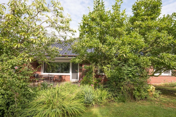 Foto van Huis op een fantastische locatie aan Nordstrand - Vakantiehuis in Nordstrand - ExteriorSummer