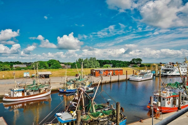 Foto van Bodil (nieuw gebouw 2026) - Vakantiehuis in Pellworm - Untagged