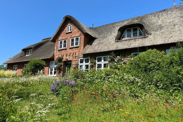 Foto van Bodil (nieuw gebouw 2026) - Vakantiehuis in Pellworm - Untagged