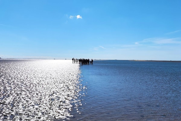 Foto van Gezellig, exclusief vakantiehuis in Dagebüll - Vakantiehuis in Dagebüll - AreaSummer5KM