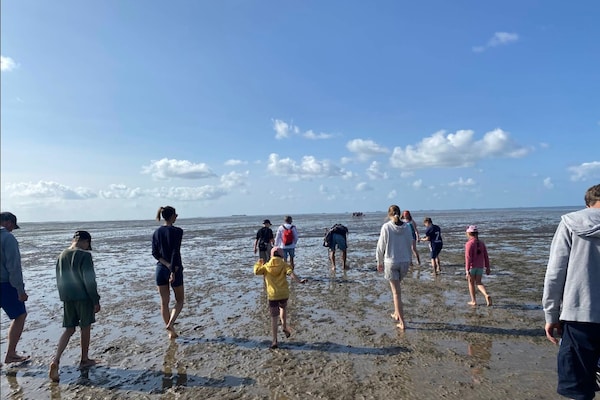 Foto van Luxe ingericht vakantiehuis vlakbij het strand - Vakantiehuis in Dagebüll - AreaSummer5KM