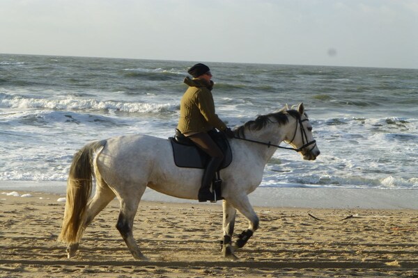Foto van Carstensen Huis - Vakantiehuis in Sylt- Keitum - Untagged