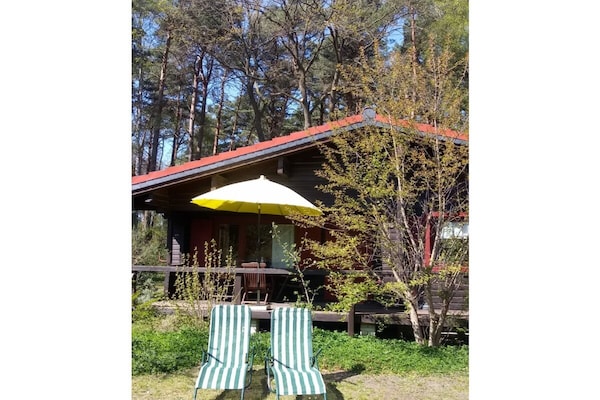 Foto van Blokhut Blueberry in Heide - Vakantiehuis in Neuenkirchen - Untagged