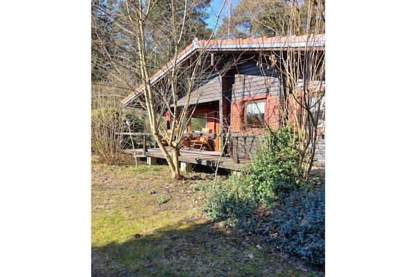 Foto van Blokhut Blueberry in Heide - Vakantiehuis in Neuenkirchen - Untagged