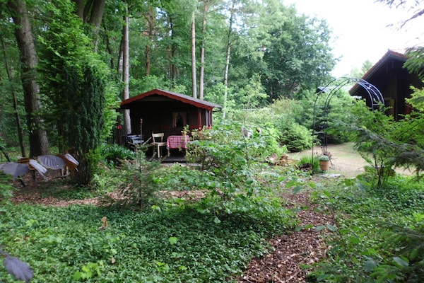 Foto van Blokhut Blueberry in Heide - Vakantiehuis in Neuenkirchen - Untagged