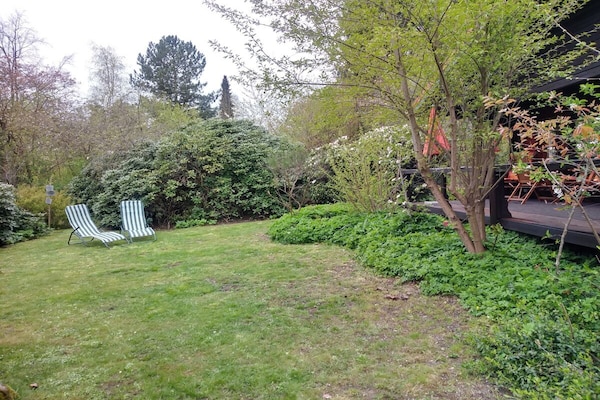 Foto van Blokhut Blueberry in Heide - Vakantiehuis in Neuenkirchen - Untagged