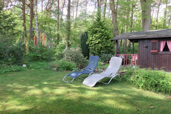 Foto van Blokhut Blueberry in Heide - Vakantiehuis in Neuenkirchen - Untagged