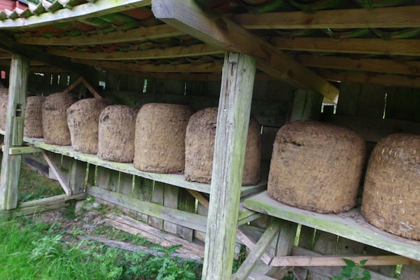 Foto van Blokhut Blueberry in Heide - Vakantiehuis in Neuenkirchen - Untagged