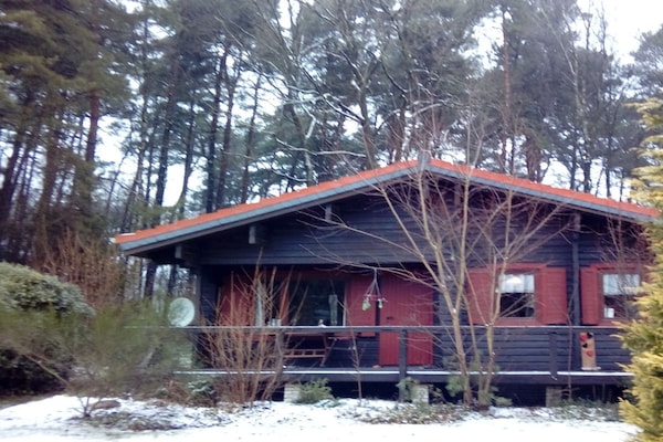 Foto van Blokhut Blueberry in Heide - Vakantiehuis in Neuenkirchen - Untagged