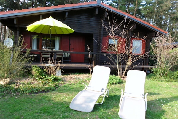 Foto van Blokhut Blueberry in Heide - Vakantiehuis in Neuenkirchen - Untagged