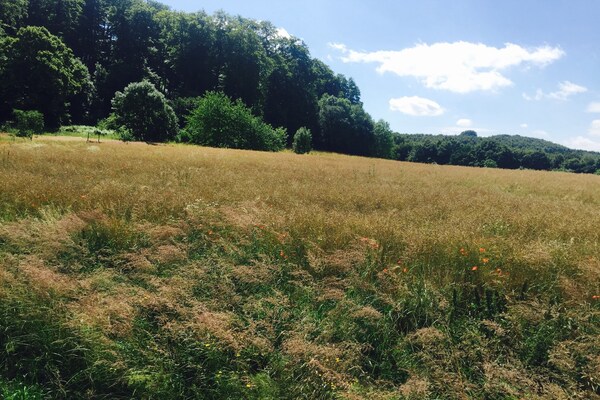 Foto van Gezellige schuilplaats, Wezerbergland - Vakantiehuis in Eichenborn - AreaSummer5KM