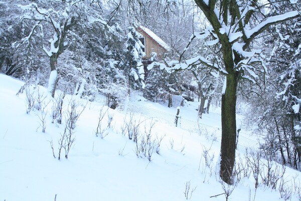 Foto van Gezellige schuilplaats, Wezerbergland - Vakantiehuis in Eichenborn - ExteriorWinter