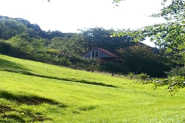 Foto van Gezellige schuilplaats, Wezerbergland - Vakantiehuis in Eichenborn - ExteriorSummer