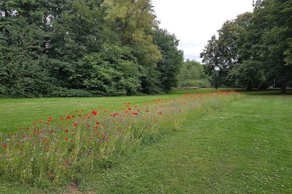 Foto van Vakantiehuis in  - Vakantiehuis in  - AreaSummer5KM