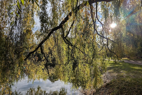 Foto van Vakantiehuis in  - Vakantiehuis in  - AreaSummer5KM