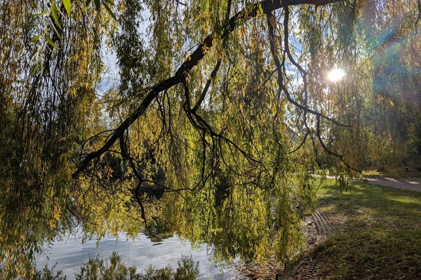 Foto van Vakantiehuis in  - Vakantiehuis in  - AreaSummer5KM