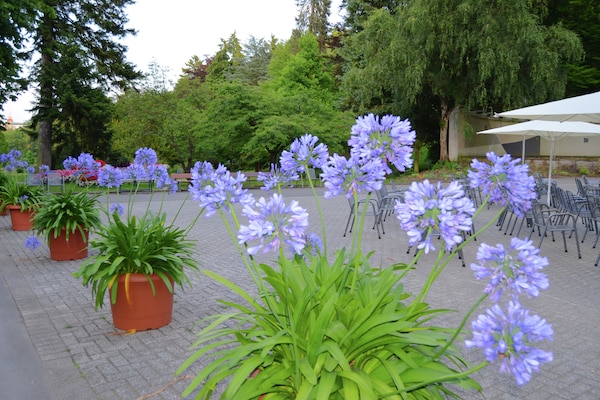 Foto van Appartement met privéterras in Hüddingen - Vakantiehuis in Bad Wildungen - AreaSummer20KM
