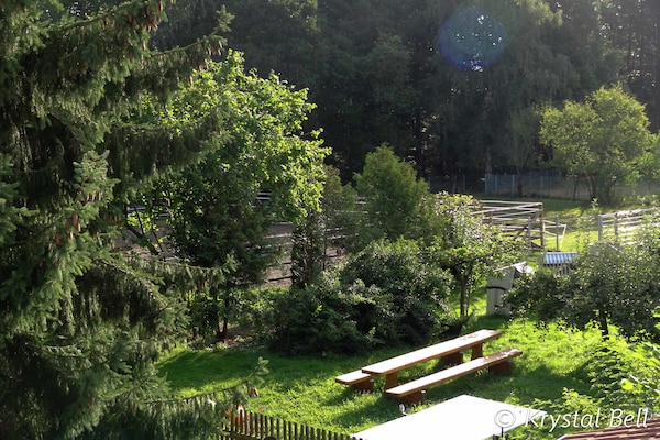 Foto van hondvriendelijk groepshuis in Hessen met tuin - Vakantiehuis in Bad Zwesten-Wenzigerode - GardenSummer