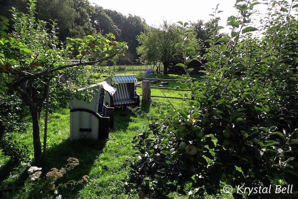 Foto van hondvriendelijk groepshuis in Hessen met tuin - Vakantiehuis in Bad Zwesten-Wenzigerode - GardenSummer