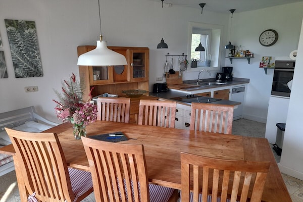 Foto van Borggreve/ Zomer || Velen - Vakantiehuis in Velen - Untagged
