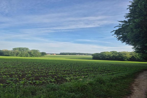 Foto van Villa met moderne touch - Vakantiehuis in Bad Bentheim - AreaSummer20KM