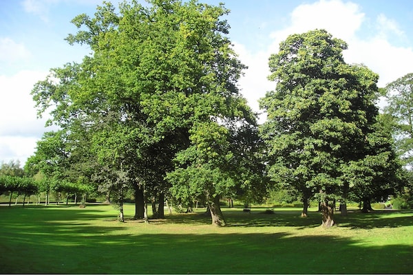 Foto van Villa met privétuin - Vakantiehuis in Bad Bentheim - AreaSummer20KM