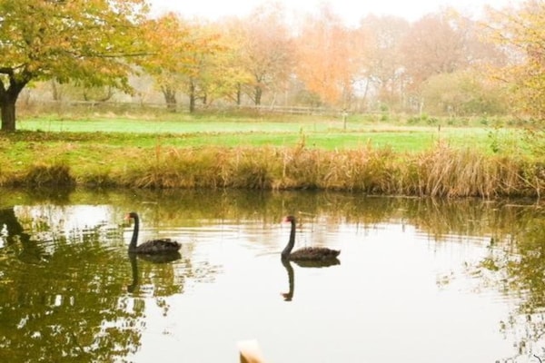 Foto van Sauna Retreat nabij Kasteel - Vakantiehuis in Bad Bentheim - AreaSummer20KM