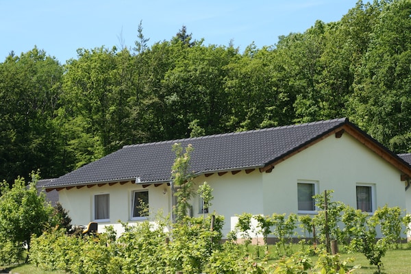 Foto van Bungalow bij Eifel Skilift - Vakantiehuis in Hinterhausen - Gerolstein - ExteriorSummer
