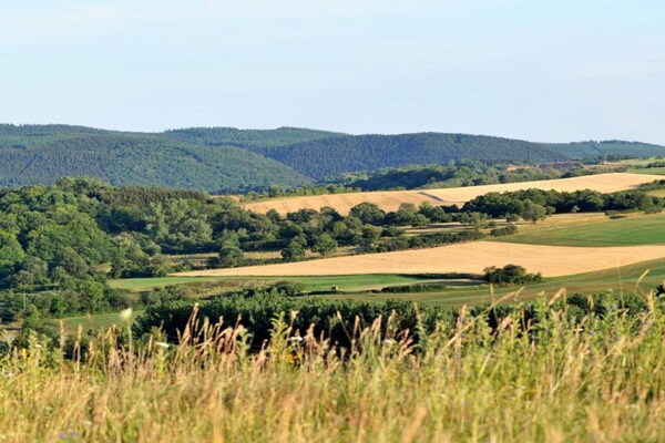 Foto van Bungalow in Eifel bij Bergpaden - Vakantiehuis in Hinterhausen - Gerolstein - AreaSummer20KM