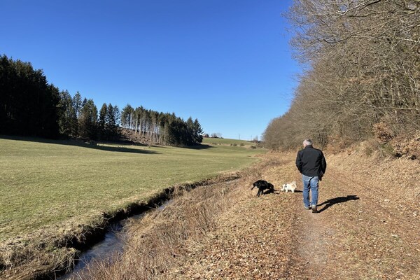 Foto van Bij de 5 berken - Vakantiehuis in Mützenich - Untagged