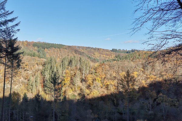 Foto van Bendorf Hotel by Belvilla Budget Tweepersoonskamer - AreaSummer5KM