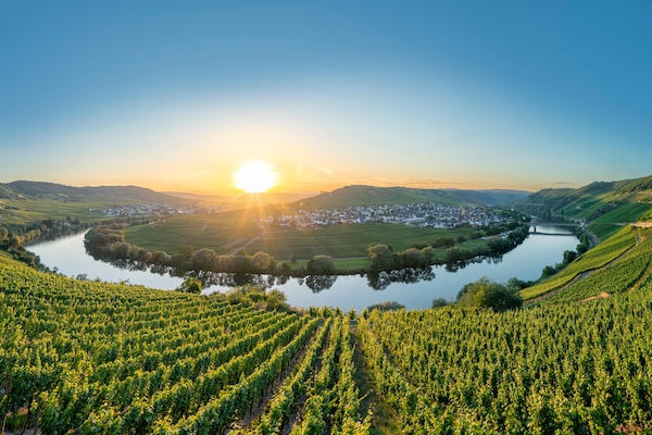 Foto van Vakantiehuis in Filz in de Eifel. - Vakantiehuis in Filz - AreaSummer5KM