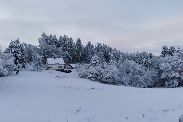 Foto van Vakantiehuis in Filz in de Eifel. - Vakantiehuis in Filz - ViewWinter
