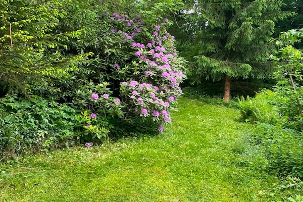 Foto van Charmant appartement met uitzicht op de bergen in Nordenau voor 6 personen - GardenSummer