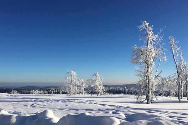 Foto van Appartement in Waltenberg - Vakantiehuis in Winterberg - AreaWinter20KM
