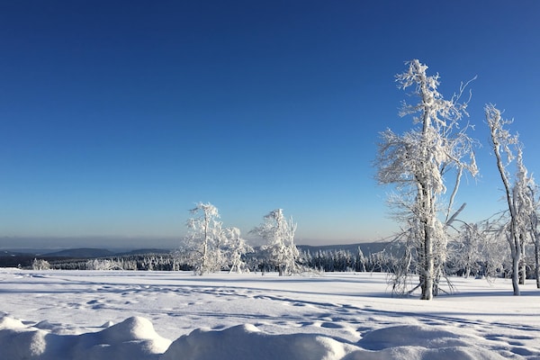 Foto van Appartement in Winterberg bij Kappe Berg - Vakantiehuis in Winterberg - AreaWinter20KM
