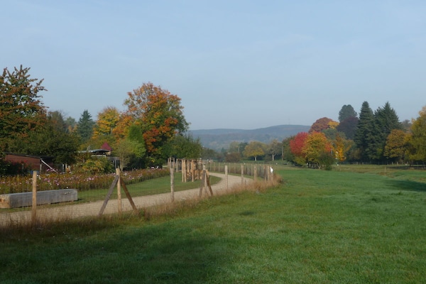Foto van Beurs en vakantieaccommodatie - Vakantiehuis in Oberursel - Untagged