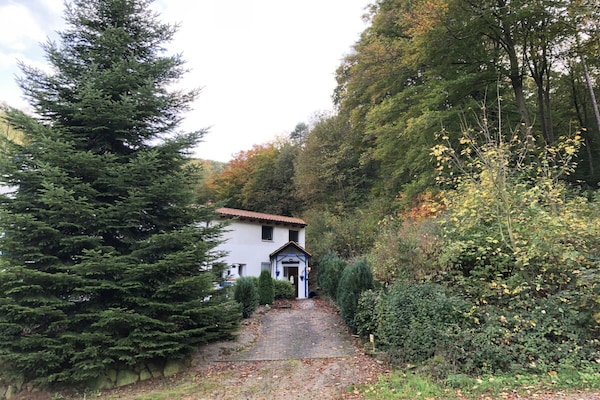 Foto van Bruni's vakantieappartement - Vakantiehuis in Wachenheim an der Weinstr. - Untagged