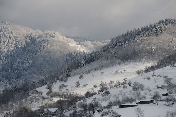 Foto van Breitmatthof nr. 3 - Vakantiehuis in Oppenau - Untagged
