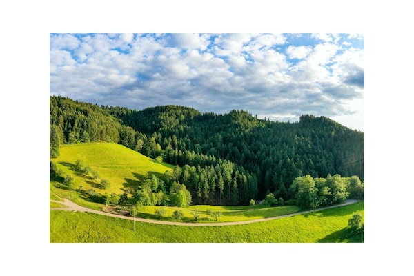 Foto van Breitmatthof nr. 2 - Vakantiehuis in Oppenau-Maisach - Untagged